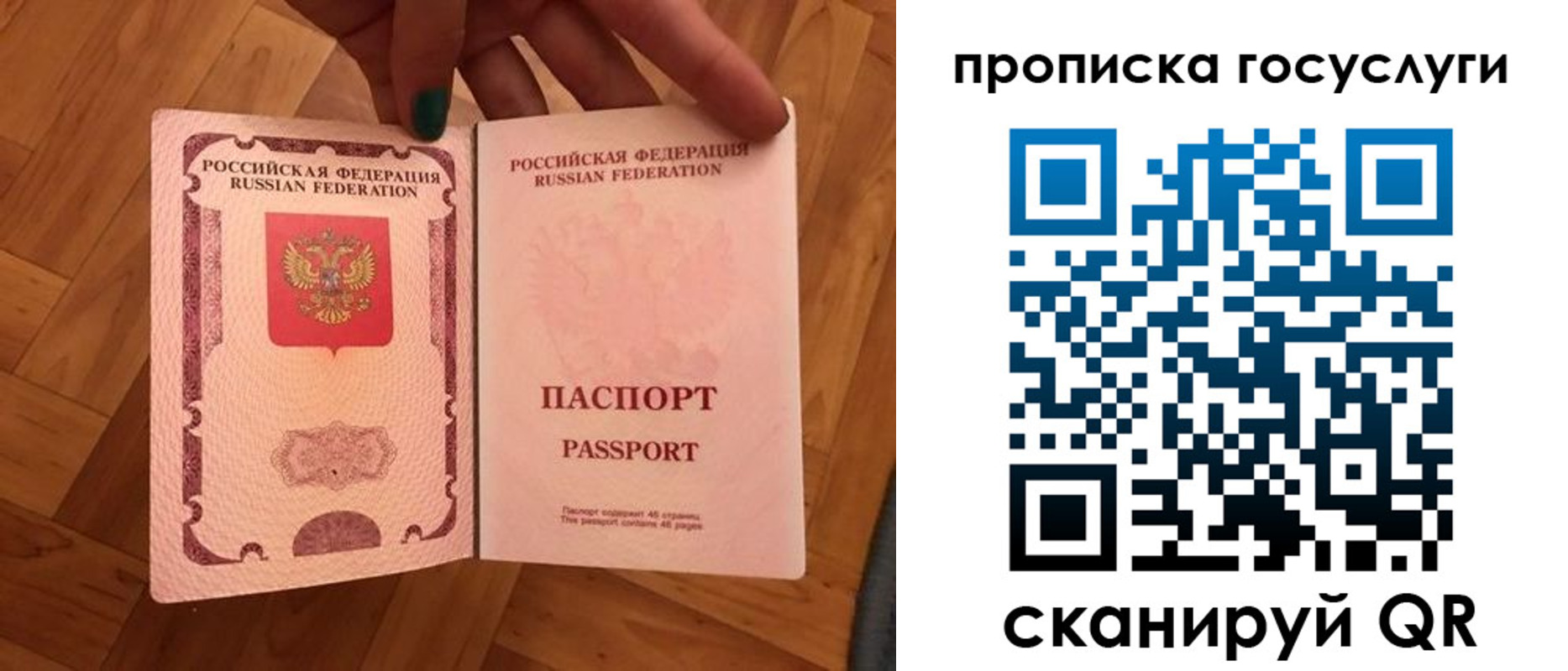 где прописаться в Фрязино